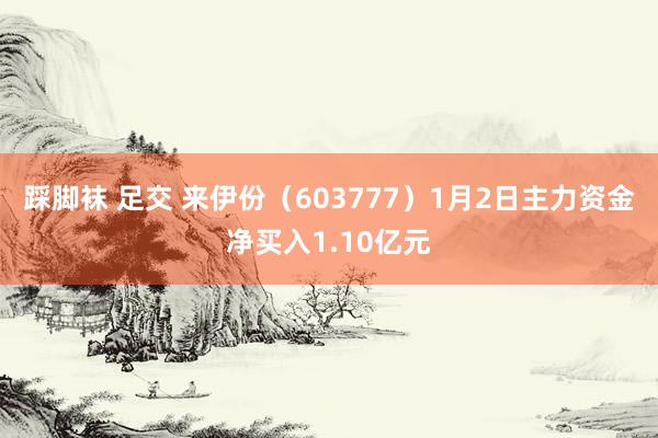 踩脚袜 足交 来伊份（603777）1月2日主力资金净买入1.10亿元