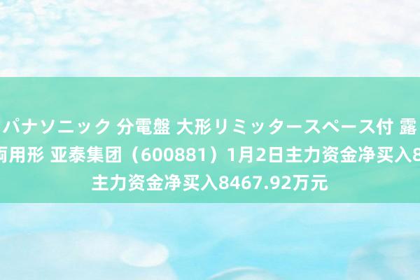 パナソニック 分電盤 大形リミッタースペース付 露出・半埋込両用形 亚泰集团（600881）1月2日主力资金净买入8467.92万元