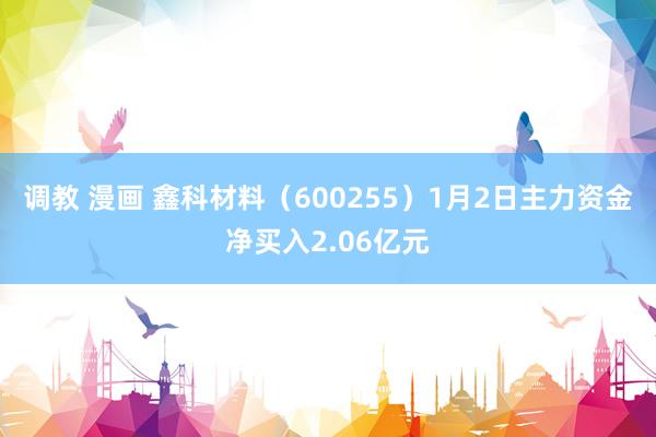 调教 漫画 鑫科材料（600255）1月2日主力资金净买入2.06亿元