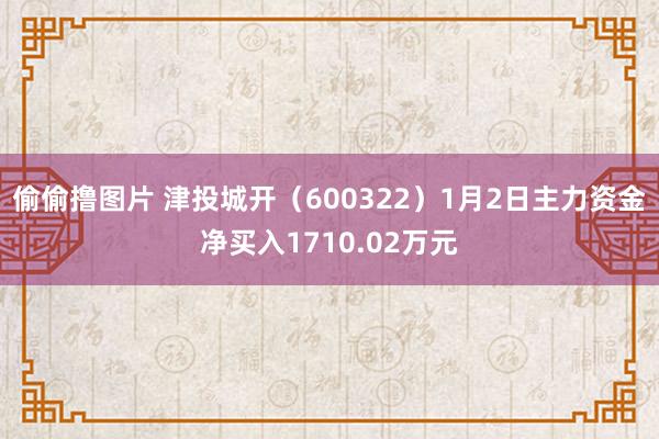 偷偷撸图片 津投城开（600322）1月2日主力资金净买入1710.02万元