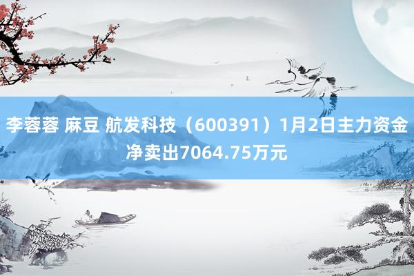 李蓉蓉 麻豆 航发科技（600391）1月2日主力资金净卖出7064.75万元
