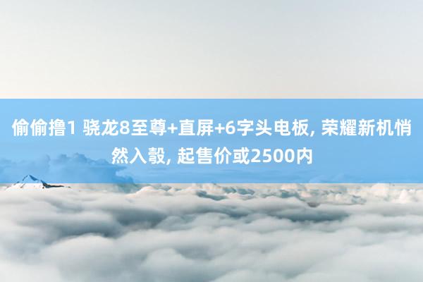 偷偷撸1 骁龙8至尊+直屏+6字头电板， 荣耀新机悄然入彀， 起售价或2500内