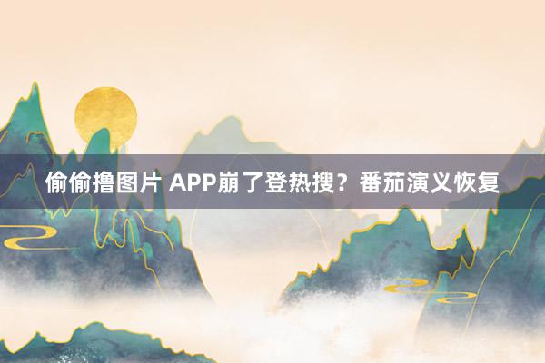 偷偷撸图片 APP崩了登热搜？番茄演义恢复