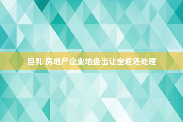 巨乳 房地产企业地盘出让金返还处理