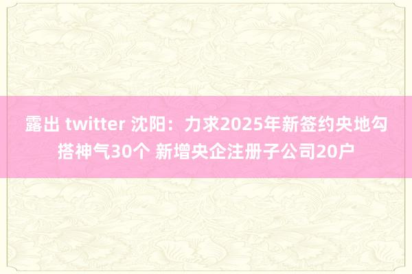 露出 twitter 沈阳：力求2025年新签约央地勾搭神气30个 新增央企注册子公司20户