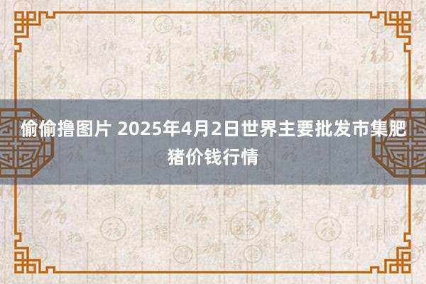 偷偷撸图片 2025年4月2日世界主要批发市集肥猪价钱行情