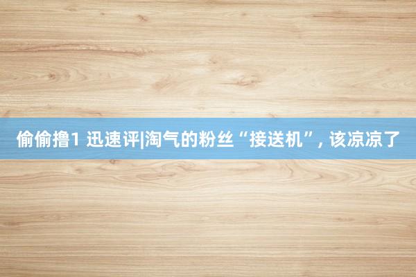 偷偷撸1 迅速评|淘气的粉丝“接送机”, 该凉凉了
