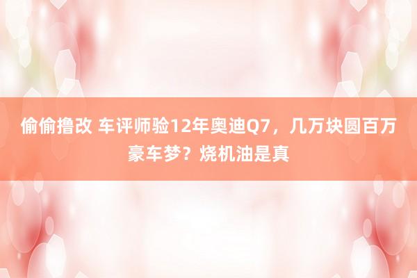 偷偷撸改 车评师验12年奥迪Q7，几万块圆百万豪车梦？烧机油是真