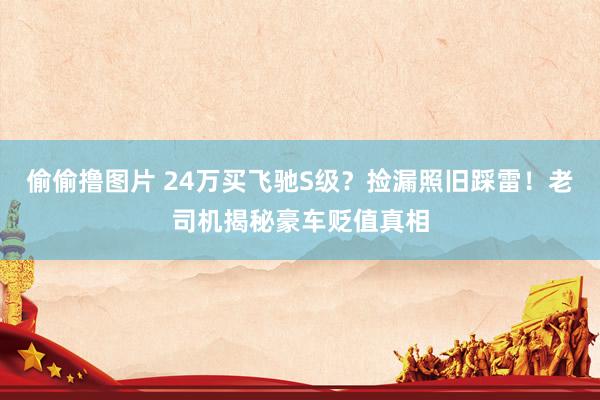 偷偷撸图片 24万买飞驰S级？捡漏照旧踩雷！老司机揭秘豪车贬值真相