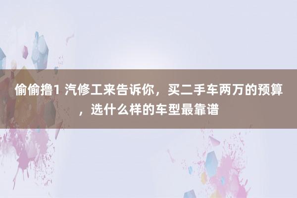 偷偷撸1 汽修工来告诉你，买二手车两万的预算，选什么样的车型最靠谱
