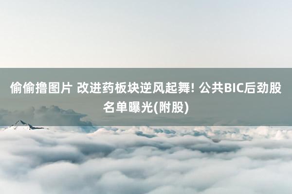 偷偷撸图片 改进药板块逆风起舞! 公共BIC后劲股名单曝光(附股)