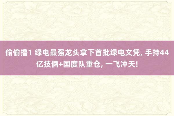 偷偷撸1 绿电最强龙头拿下首批绿电文凭, 手持44亿技俩+国度队重仓, 一飞冲天!