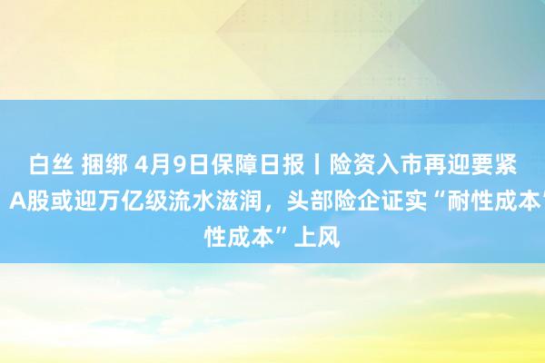 白丝 捆绑 4月9日保障日报丨险资入市再迎要紧松捆，A股或迎万亿级流水滋润，头部险企证实“耐性成本”上风
