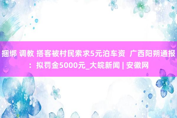捆绑 调教 搭客被村民索求5元泊车资  广西阳朔通报：拟罚金5000元_大皖新闻 | 安徽网