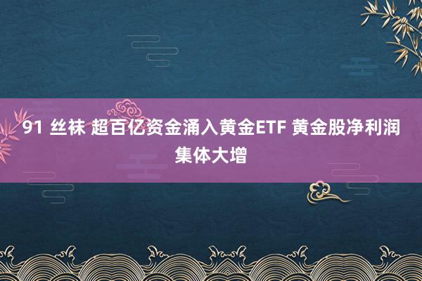 91 丝袜 超百亿资金涌入黄金ETF 黄金股净利润集体大增