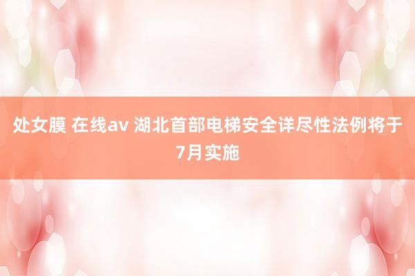 处女膜 在线av 湖北首部电梯安全详尽性法例将于7月实施