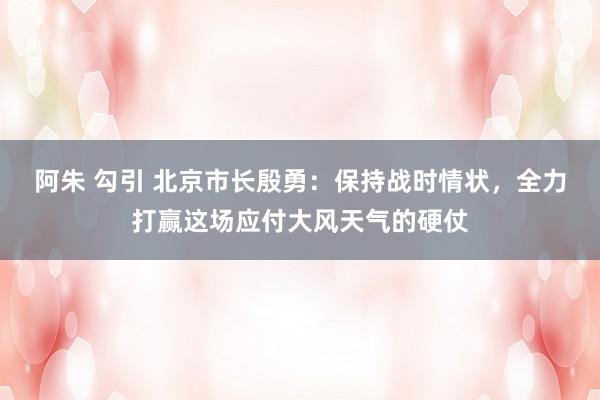 阿朱 勾引 北京市长殷勇：保持战时情状，全力打赢这场应付大风天气的硬仗