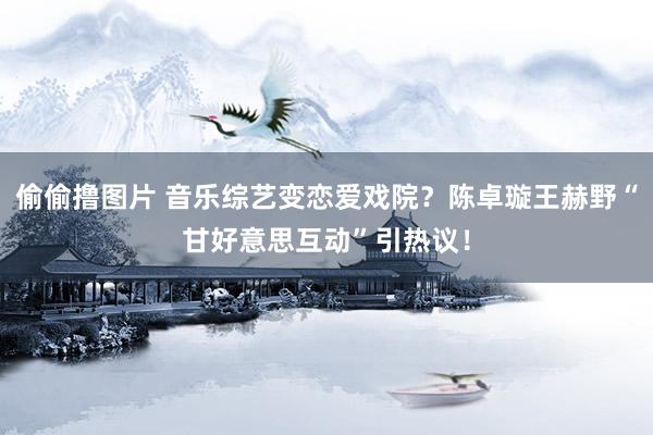偷偷撸图片 音乐综艺变恋爱戏院？陈卓璇王赫野“甘好意思互动”引热议！