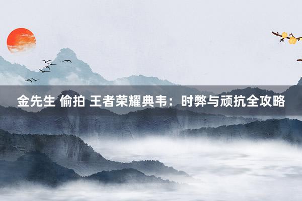 金先生 偷拍 王者荣耀典韦：时弊与顽抗全攻略