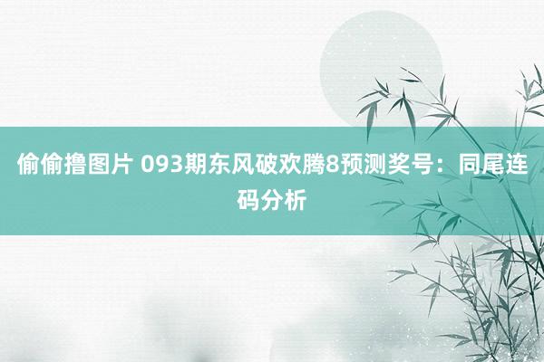 偷偷撸图片 093期东风破欢腾8预测奖号：同尾连码分析