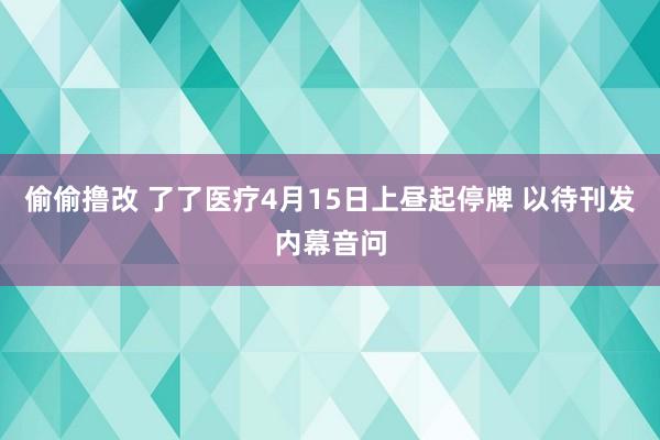 偷偷撸改 了了医疗4月15日上昼起停牌 以待刊发内幕音问
