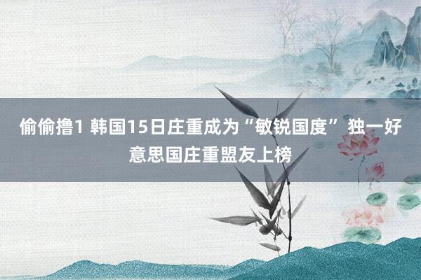 偷偷撸1 韩国15日庄重成为“敏锐国度” 独一好意思国庄重盟友上榜