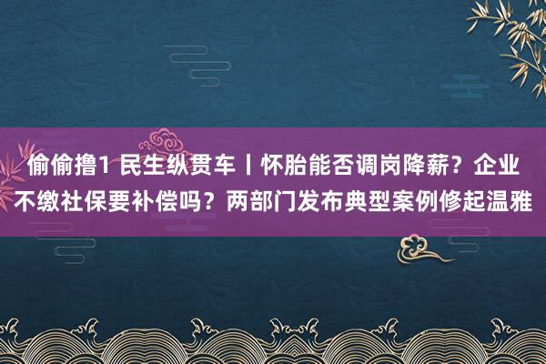 偷偷撸1 民生纵贯车丨怀胎能否调岗降薪？企业不缴社保要补偿吗？两部门发布典型案例修起温雅