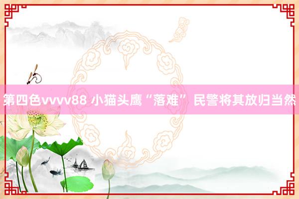 第四色vvvv88 小猫头鹰“落难” 民警将其放归当然