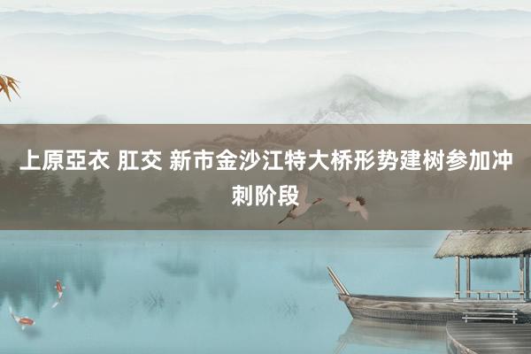 上原亞衣 肛交 新市金沙江特大桥形势建树参加冲刺阶段