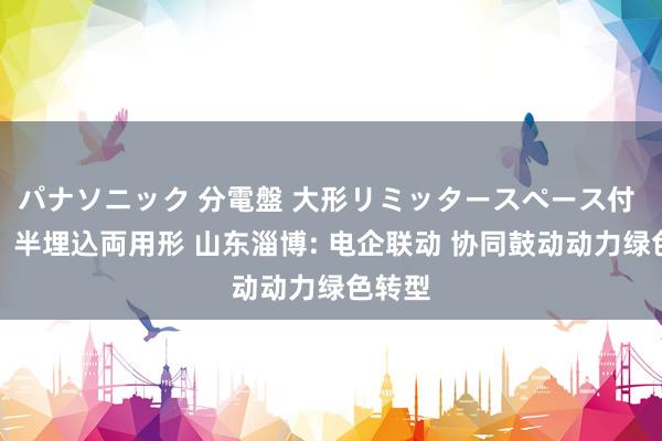 パナソニック 分電盤 大形リミッタースペース付 露出・半埋込両用形 山东淄博: 电企联动 协同鼓动动力绿色转型