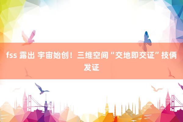 fss 露出 宇宙始创！三维空间“交地即交证”技俩发证