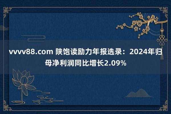 vvvv88.com 陕饱读励力年报选录：2024年归母净利润同比增长2.09%