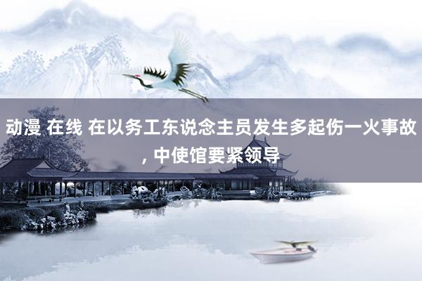 动漫 在线 在以务工东说念主员发生多起伤一火事故, 中使馆要紧领导