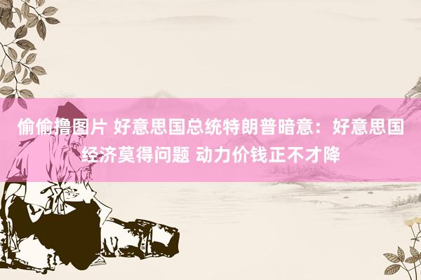 偷偷撸图片 好意思国总统特朗普暗意：好意思国经济莫得问题 动力价钱正不才降