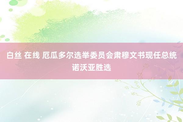 白丝 在线 厄瓜多尔选举委员会肃穆文书现任总统诺沃亚胜选