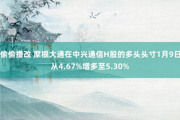 偷偷撸改 摩根大通在中兴通信H股的多头头寸1月9日从4.67%增多至5.30%
