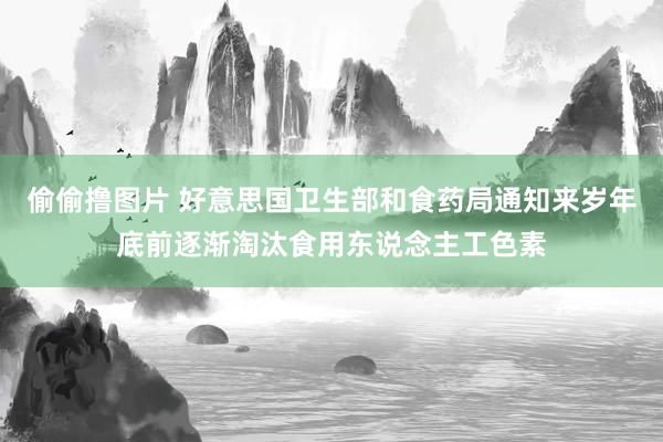 偷偷撸图片 好意思国卫生部和食药局通知来岁年底前逐渐淘汰食用东说念主工色素