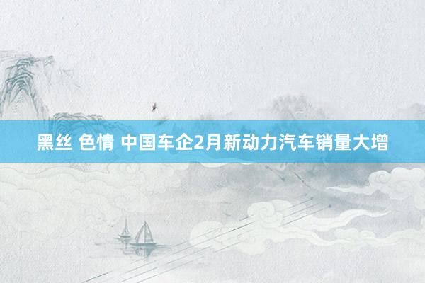 黑丝 色情 中国车企2月新动力汽车销量大增