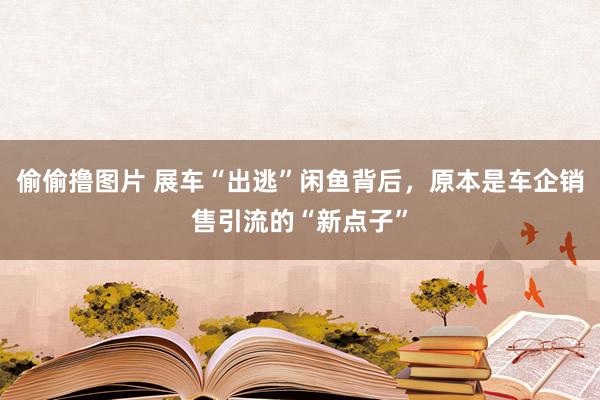 偷偷撸图片 展车“出逃”闲鱼背后，原本是车企销售引流的“新点子”