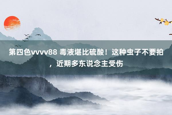 第四色vvvv88 毒液堪比硫酸！这种虫子不要拍，近期多东说念主受伤