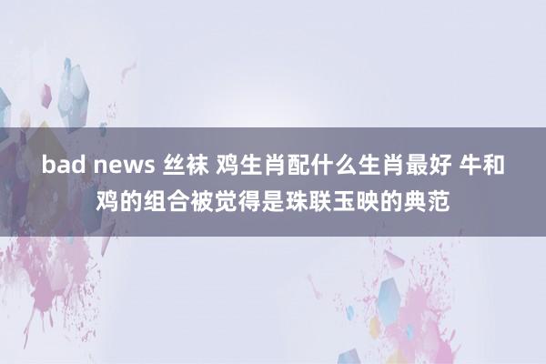 bad news 丝袜 鸡生肖配什么生肖最好 牛和鸡的组合被觉得是珠联玉映的典范