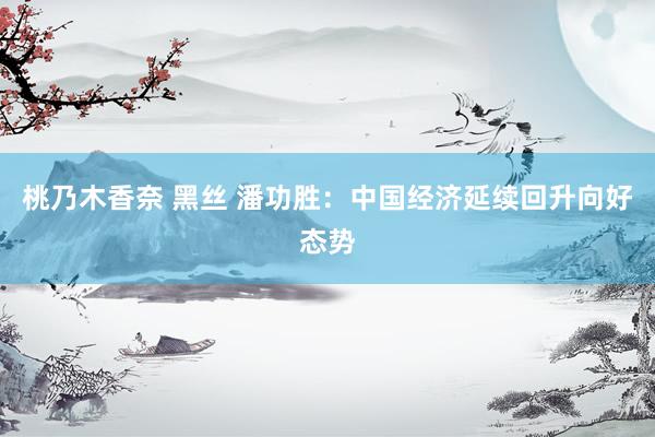 桃乃木香奈 黑丝 潘功胜：中国经济延续回升向好态势