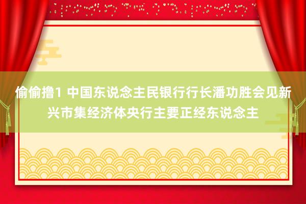 偷偷撸1 中国东说念主民银行行长潘功胜会见新兴市集经济体央行主要正经东说念主
