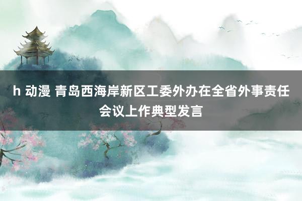 h 动漫 青岛西海岸新区工委外办在全省外事责任会议上作典型发言