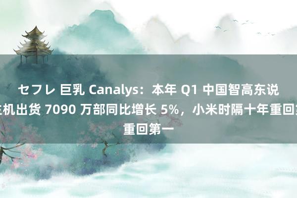 セフレ 巨乳 Canalys：本年 Q1 中国智高东说念主机出货 7090 万部同比增长 5%，小米时隔十年重回第一