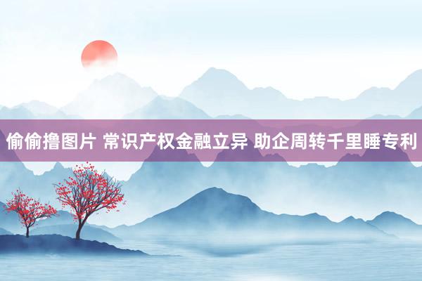 偷偷撸图片 常识产权金融立异 助企周转千里睡专利