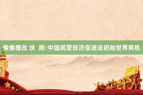 偷偷撸改 扶  刚:中国民营经济促进法初始世界商机