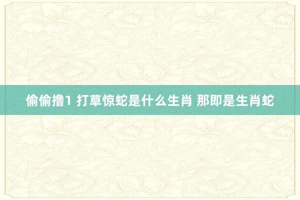 偷偷撸1 打草惊蛇是什么生肖 那即是生肖蛇